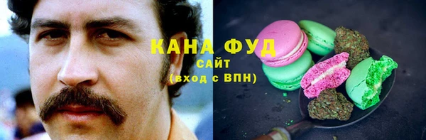 ECSTASY Алзамай