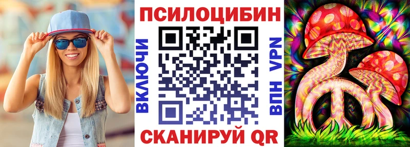где можно купить   Нижнеудинск  Псилоцибиновые грибы Psilocybine cubensis 