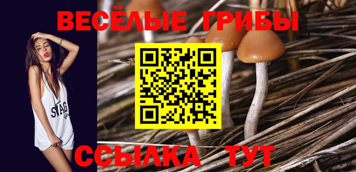 Нижнеудинск  Псилоцибиновые грибы мицелий  Галлюциногенные грибы Magic Shrooms  Вход с VPN 