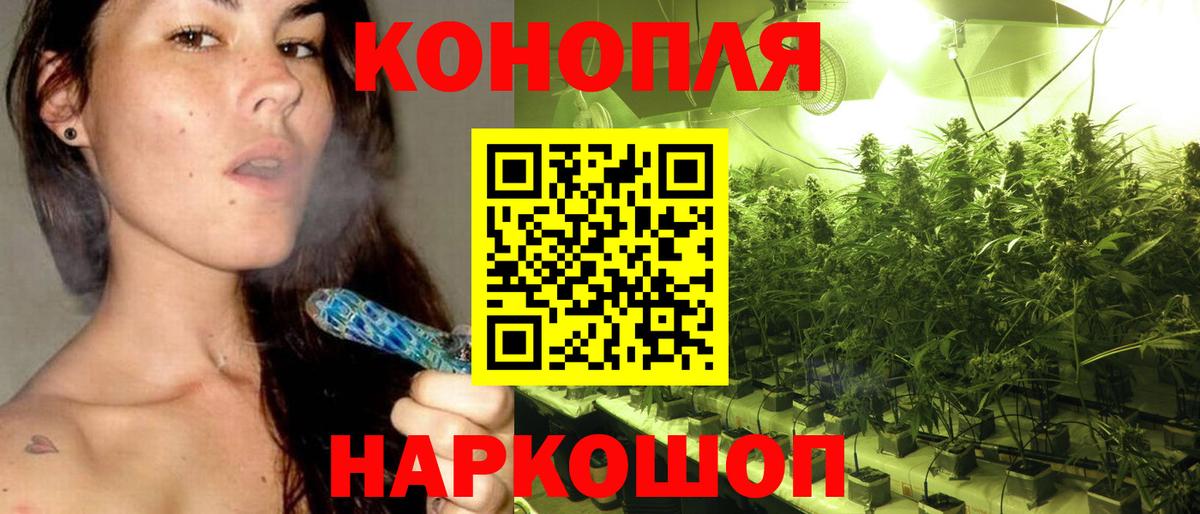 Канабис семена  Канабис семена  Марихуана LSD WEED  Вход с VPN  Нижнеудинск 